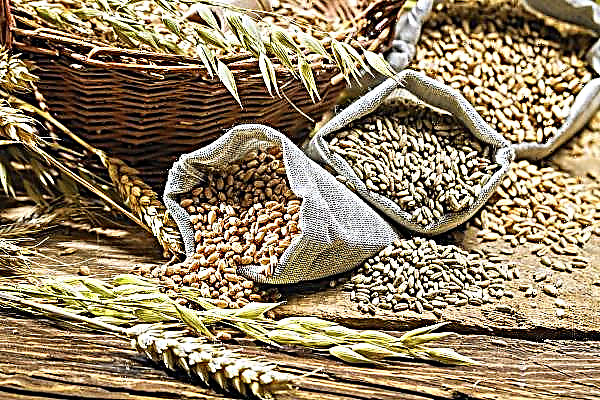 Organizações não-governamentais compram grãos para ajudar os necessitados