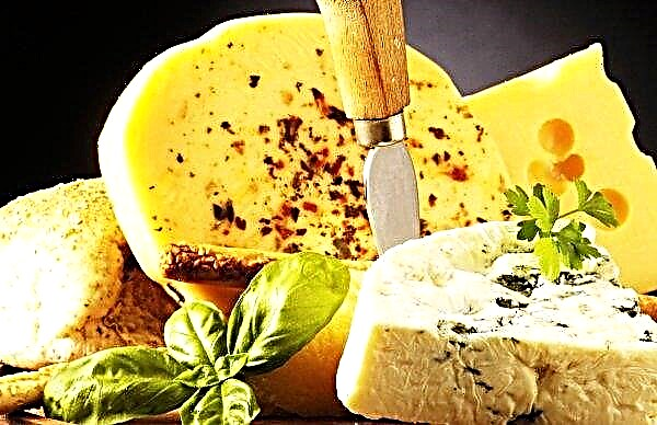 Le fromage en Ukraine deviendra moins cher