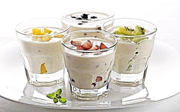 Russian yogurts will switch to domestic sourdough