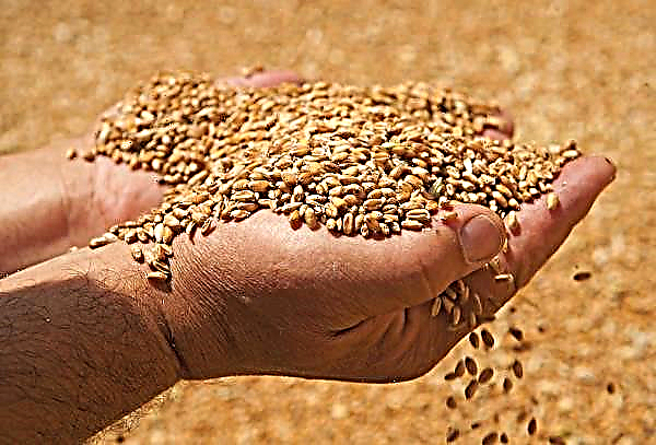 Landwirtschaft und verwandte Industrien in Indien von Beschränkungen befreit