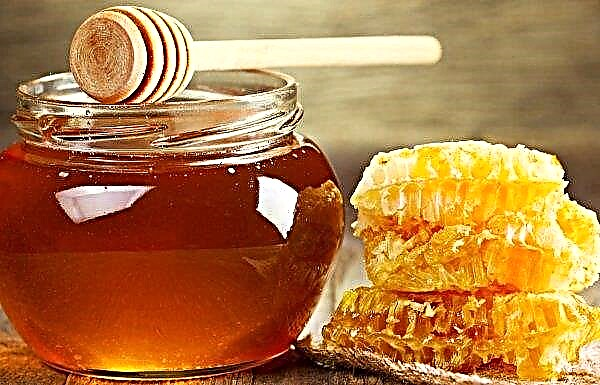 2/3 of all Ukrainian honey is exported directly to packers