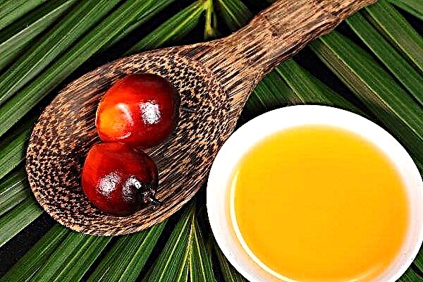 Precaución En productos ucranianos, ¡más y más aceite de palma!