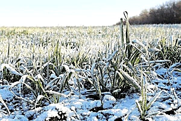 Sfarsitul lunii martie va multumi fermierii rusi cu conditii satisfacatoare