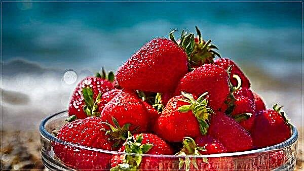 Turkey is steadily increasing strawberry exports