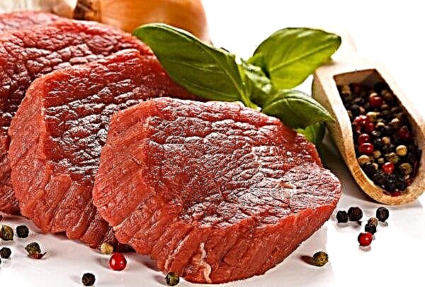 Les États membres conviennent de soutenir les producteurs irlandais de viande bovine