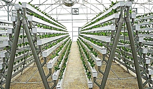 Turkish greenhouses go into "vertical mode"