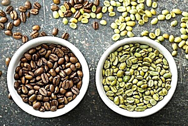Brazil mempunyai rekod eksport kopi hijau
