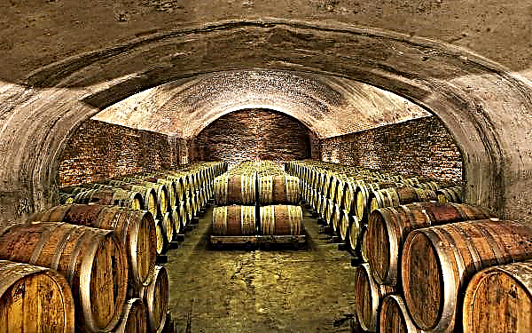 Akibat Covid-19 di kilang wain koperasi di Portugal