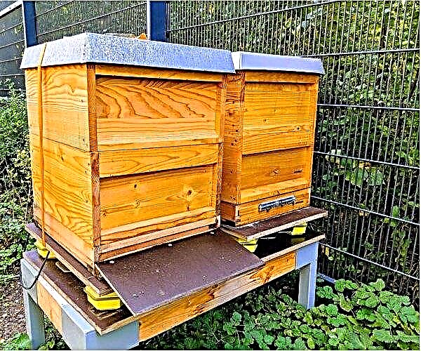 Itävaltalaiset kehittäjät helpottavat mehiläishoitajien elämää