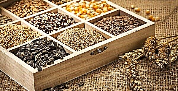 How to choose good seeds. Expert Advice
