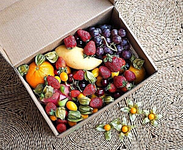 Producătorii de fructe de padure din Ucraina au rămas fără recipiente de carton de înaltă calitate