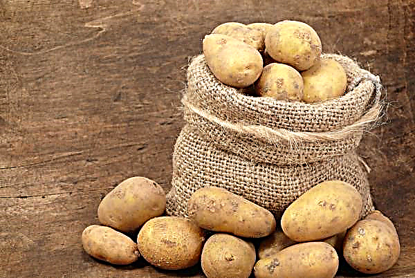 Irans regering fördubblar potatisproduktionen