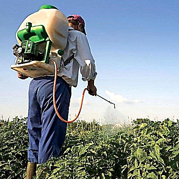Depuis juillet 2020, certains pesticides végétaux sont interdits en Suisse.