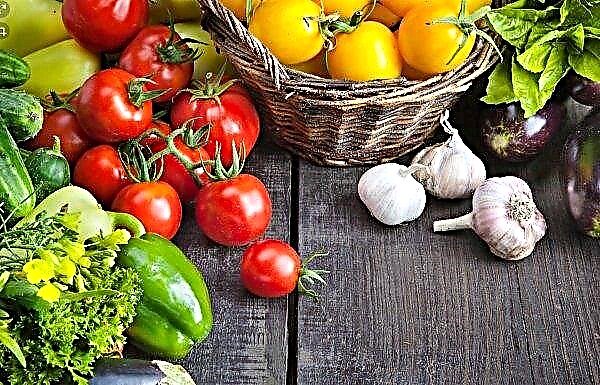 जुवेनाइल साइबेरियन अपराधी ग्रीनहाउस सब्जियों के साथ अपने आहार में विविधता लाते हैं