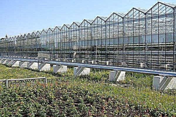 En unik jordbrukspark kommer att växa i tjetjenska öppna ytor