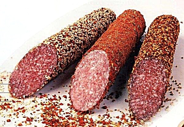 In Kolyma began to produce sausage from seals
