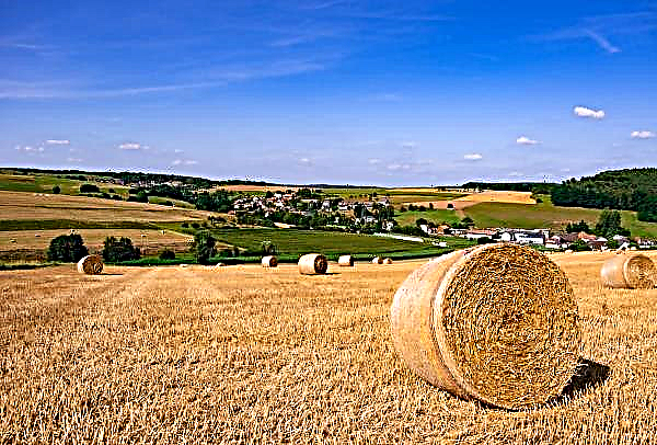 दो वर्षों में, यूक्रेन में खेतों की संख्या में 14 हजार की वृद्धि हुई है