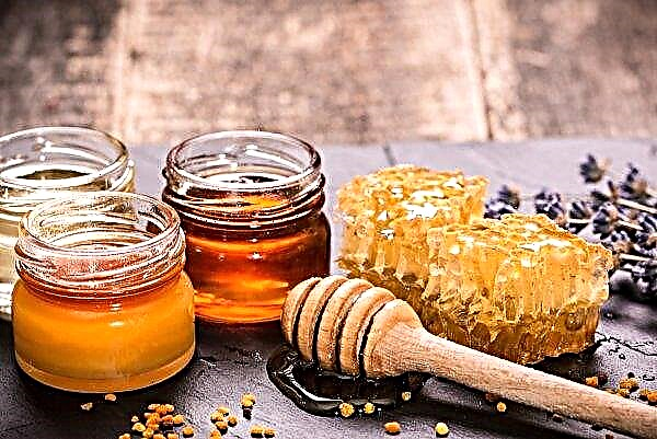 Oekraïne verliet de top drie honingexporteurs ter wereld vanwege de massale dood van bijen