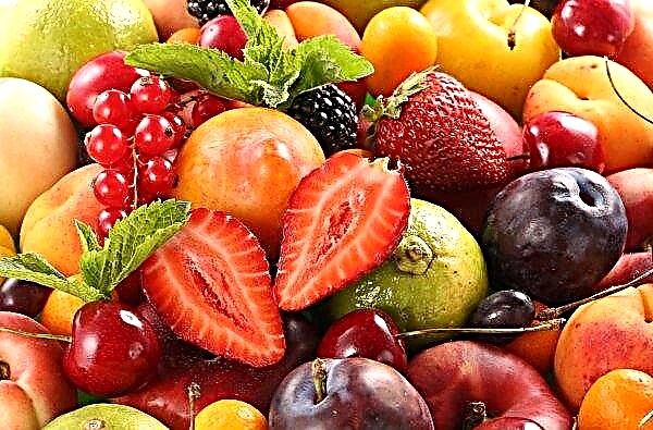 Gardeners of the Kherson region lost part of the fruit and berry harvest due to weather