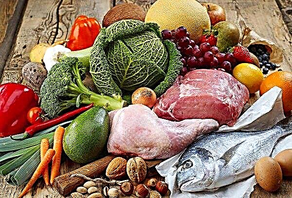 غزت المنتجات الغذائية الأوكرانية أسواق 85 دولة في عام واحد فقط
