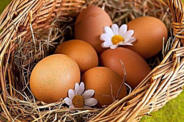 In the UK recorded growth in sales of eggs