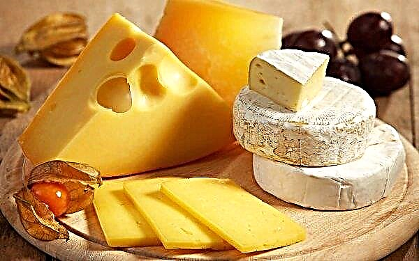 La région de Moscou a l'intention de devenir le royaume du fromage