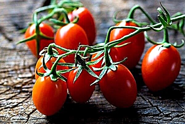 USA kommer att införa tullar för mexikanska tomater