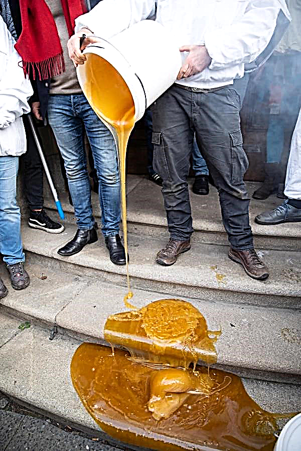 Deutscher Imker verschüttet im Landwirtschaftsministerium mit Glyphosat kontaminierten Honig