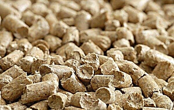 La Chine a considérablement augmenté ses achats de farine de tournesol en janvier