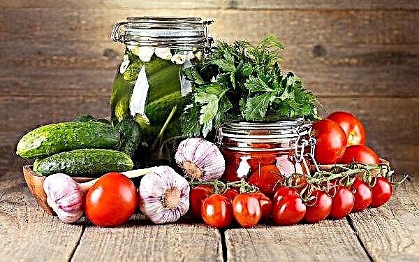 Ingushetia will put pickles and tomatoes on the table of Russians