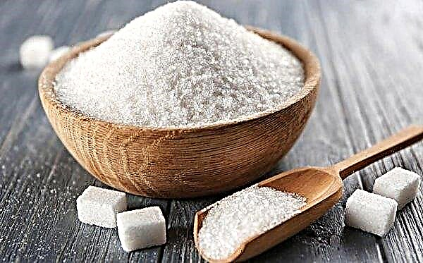 L'unica fabbrica di zucchero nella regione di Sumy è stata smantellata