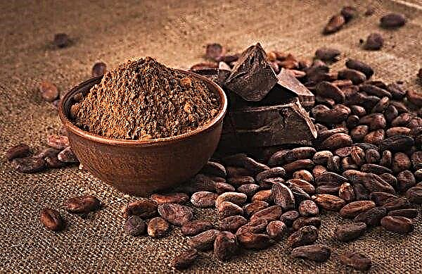 Côte d'Ivoire plans to eliminate illegal cocoa production
