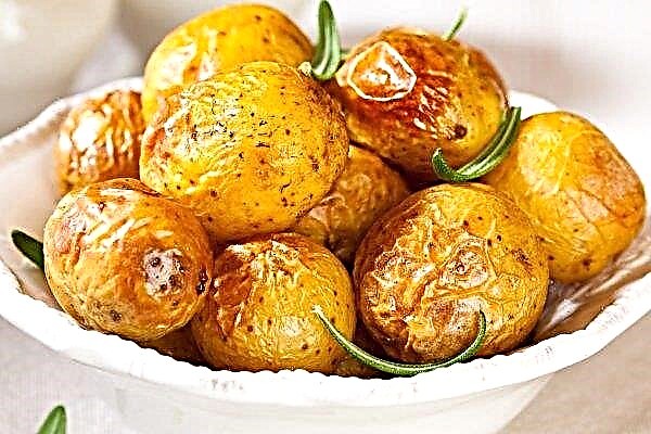 As batatas jovens locais a preços fabulosos já apareceram nos mercados da Transcarpácia