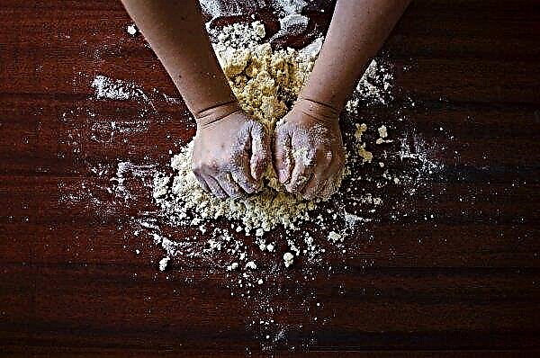 フランスのパン屋がロシア人に小麦粉の使い方を教える