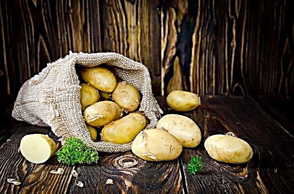 Baltarusijos prezidentas kitų šalių vadovams įteikia bulvių maišus ir eglutės papuošimus
