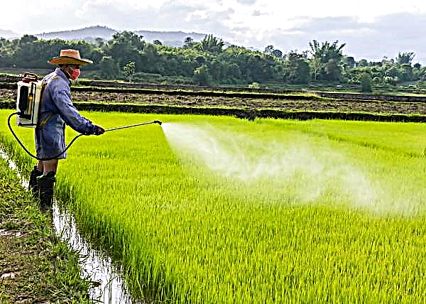 Rice exporters in India seek European pesticide standards