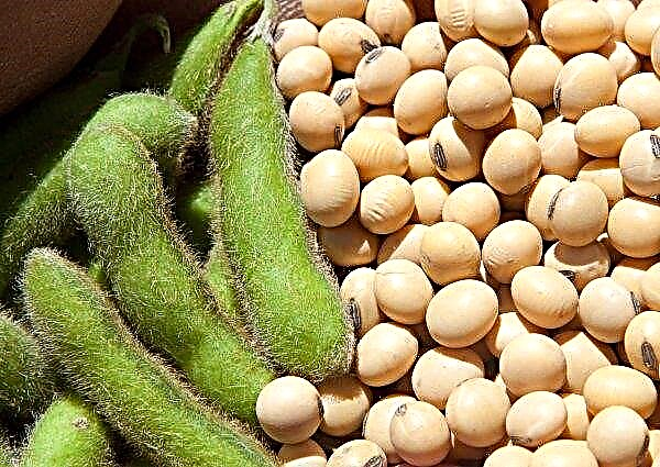 Brazilian farmers in the guise of soybeans sent biological weapons to Russia