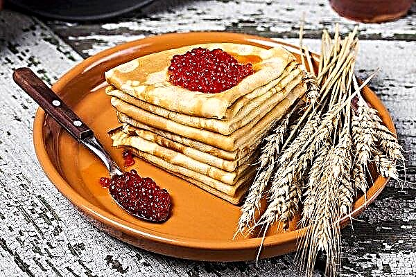 A melhor farinha de trigo e trigo sarraceno vai para as panquecas do Kremlin Maslenitsa
