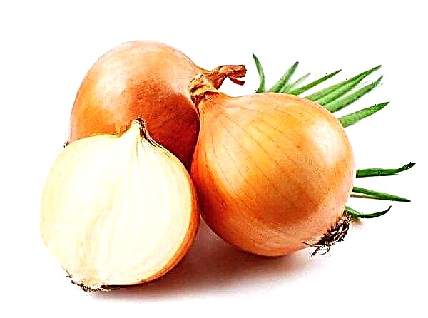 Ukraine imported record volumes of onions