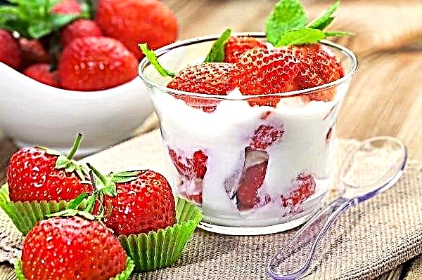 Les résidents du Bélarus ont salué les fraises ukrainiennes