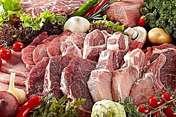L'entreprise de viande allemande Tönnies a enregistré une baisse de ses ventes