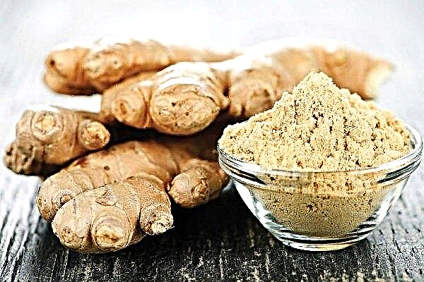 Ginger root is: vegetable, fruit or berry, root vegetable or grass