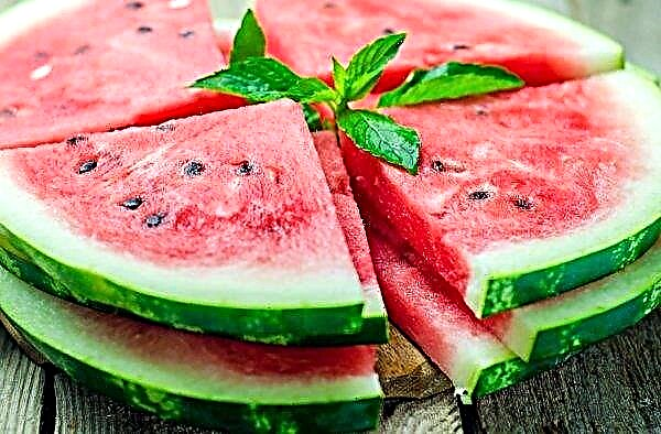 This season almost 3 thousand tons of watermelons were sold at the wholesale market in Lviv