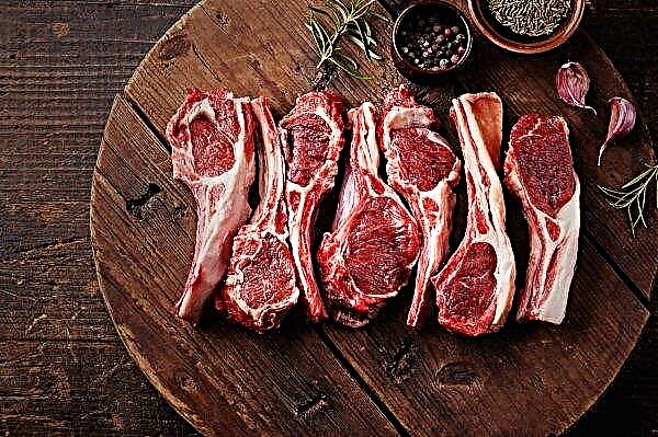Gourmets argentinos atacam coelho, carne de carneiro e carne de veado russos