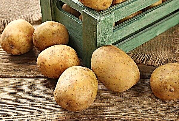 Early potato prices in Ukraine fell to the lowest level in 3 years