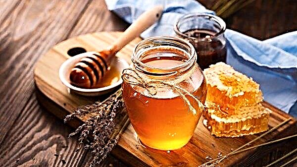 Intet spild: Bashkirs bygger et budget og kreativt museum for honning