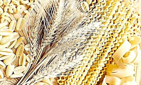 In Ukraine, grain shortages of durum wheat