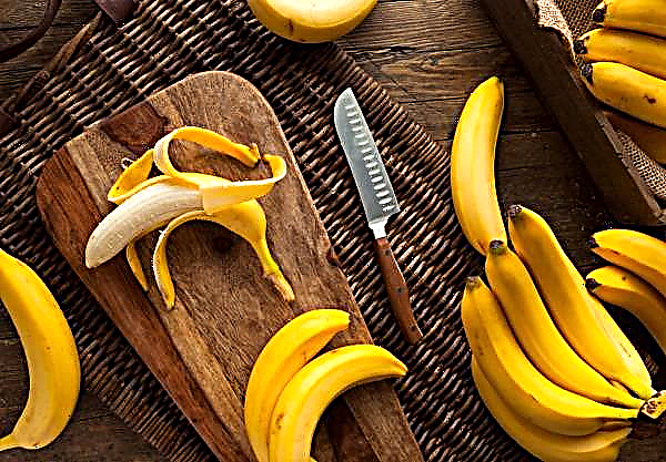 Global climate change harms banana production