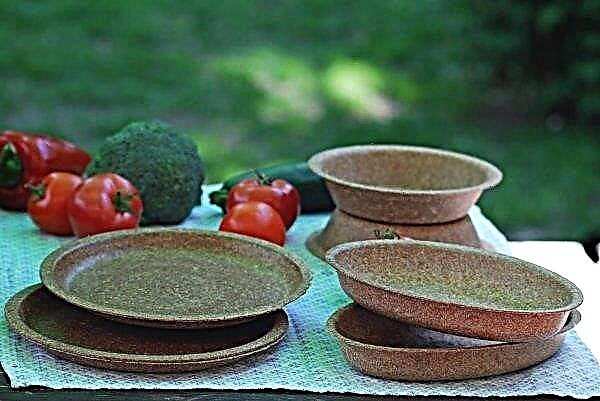 Disposable bran dishes will soon appear in Ukraine