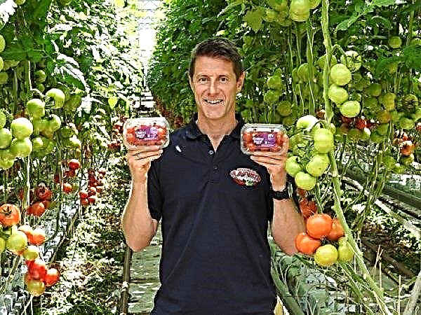 Australiska tomater hjälper till att samla in pengar till välgörenhet